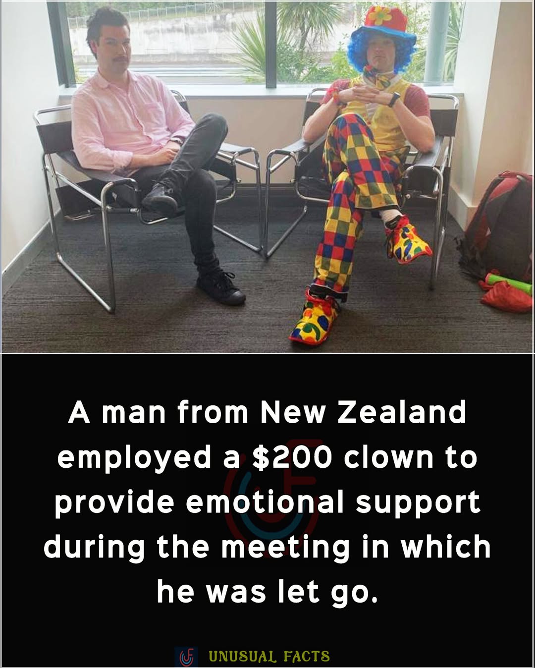 emotional-support-clown