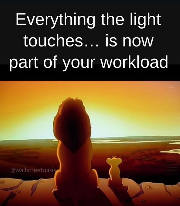 everything-the-light-touches