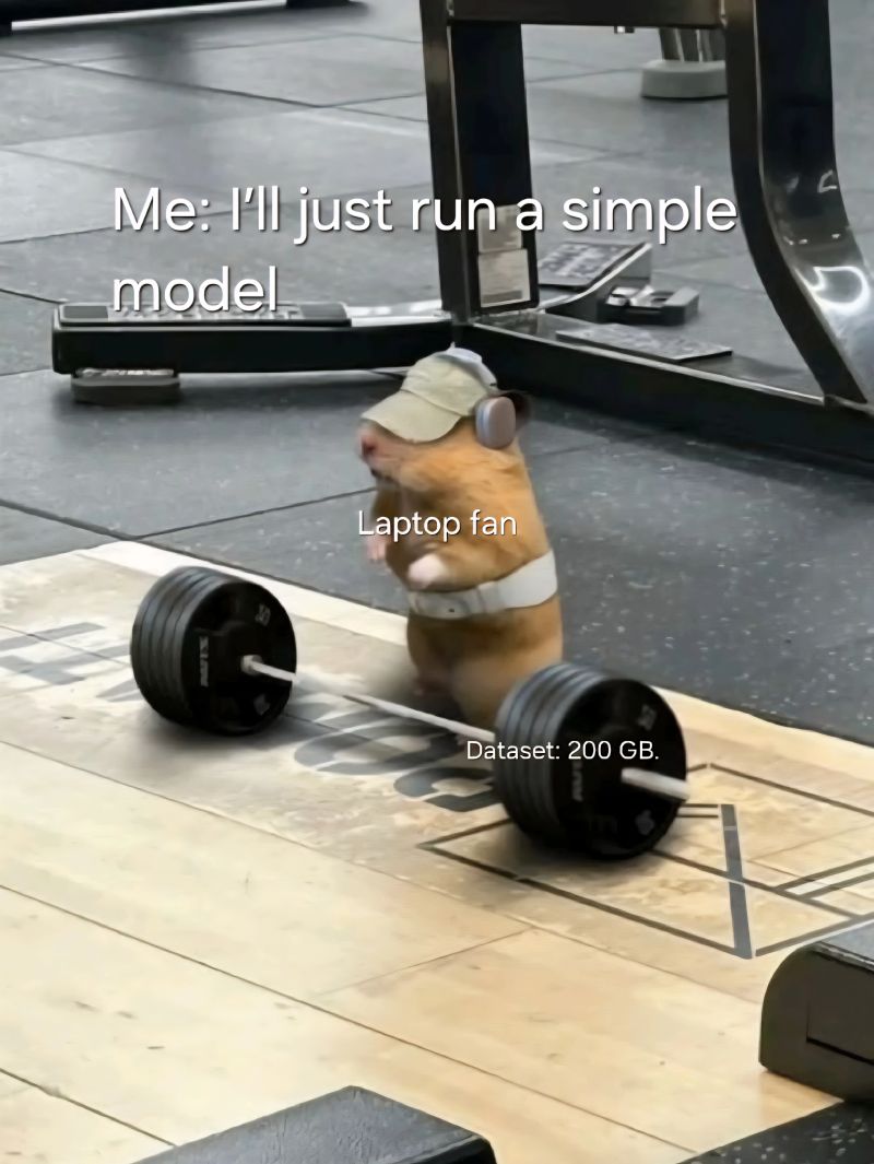 ill-just-run-a-simple-model