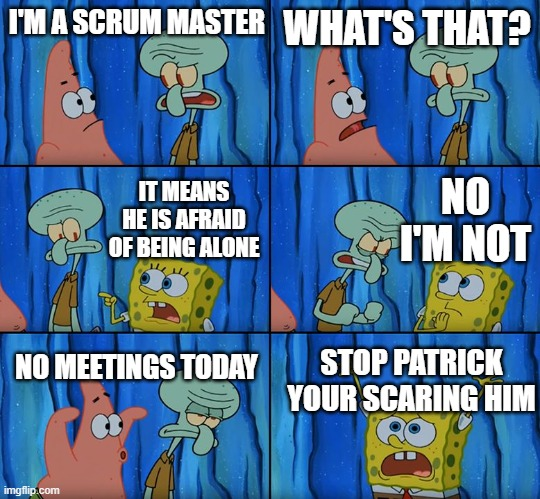 im-a-scrum-master