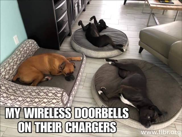 my-wireless-doorbells-on-their-chargers
