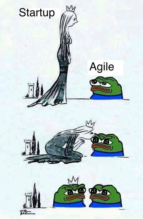 startup-agile-kiss-the-frog