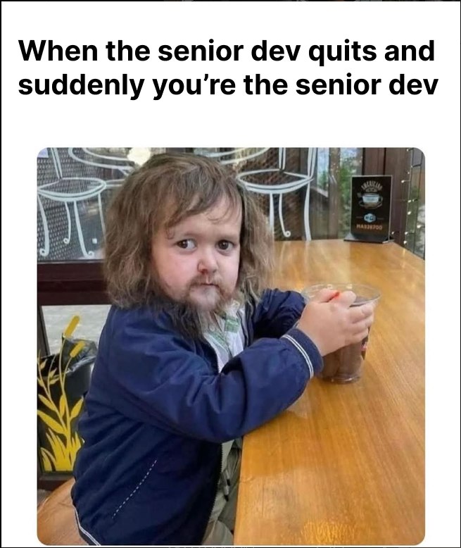 suddenly-youre-the-senior-dev