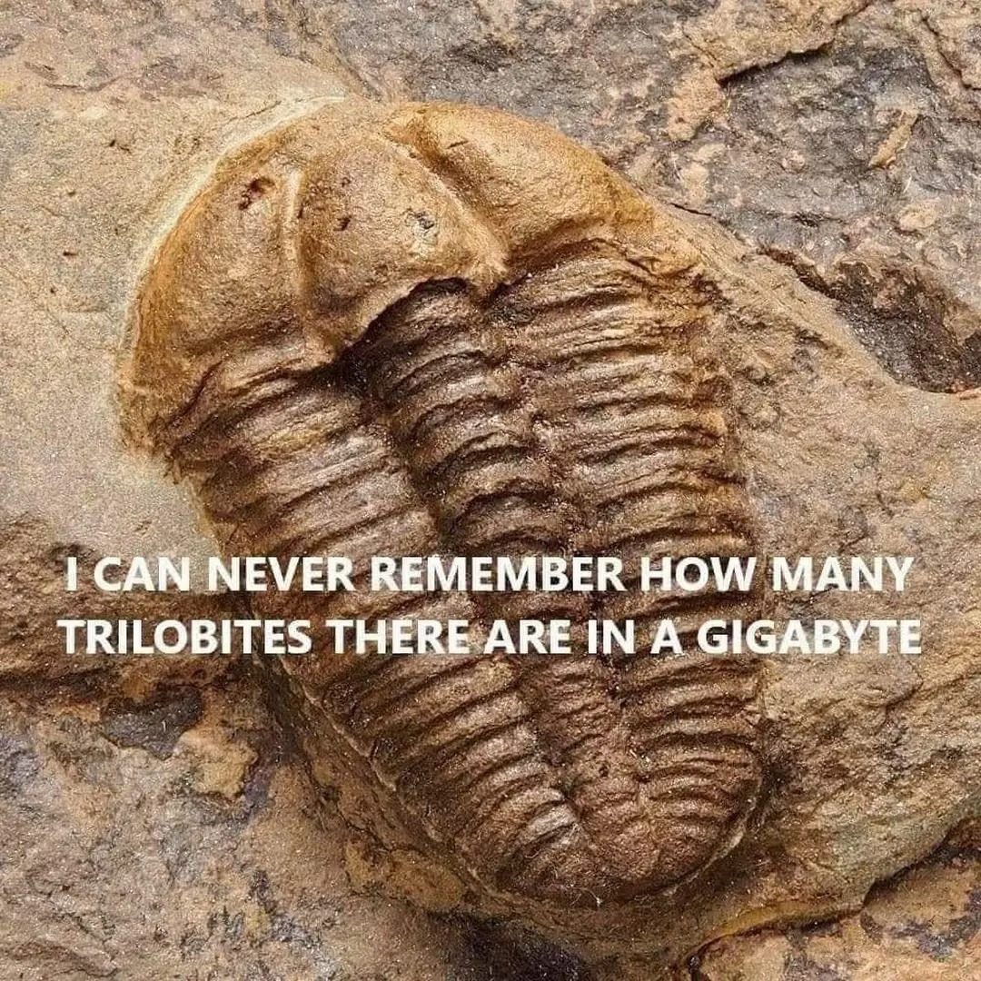 trilobites-in-a-gigabyte
