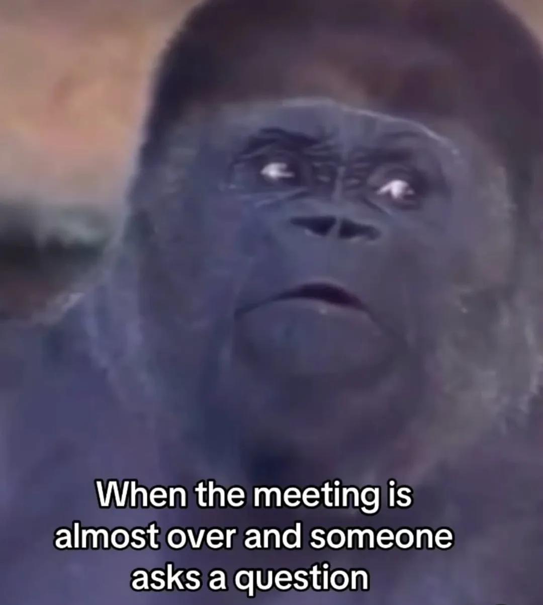 when-the-meeting-is-almost-over-and-someone-asks-a-question