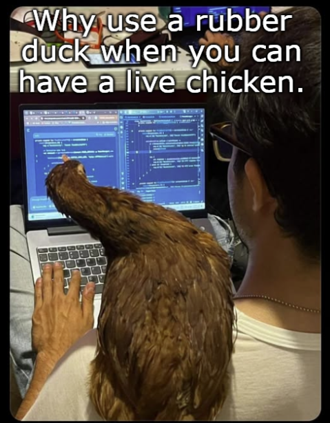 why-use-a-rubber-duck-when-you-can-have-a-live-chicken
