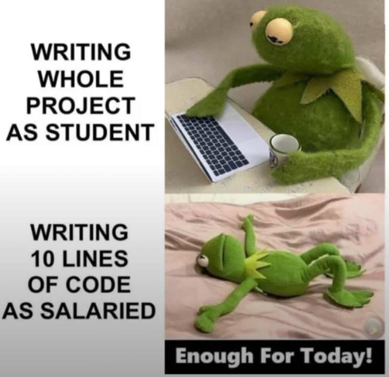 writing-whole-project-as-student-10-lines-as-pro