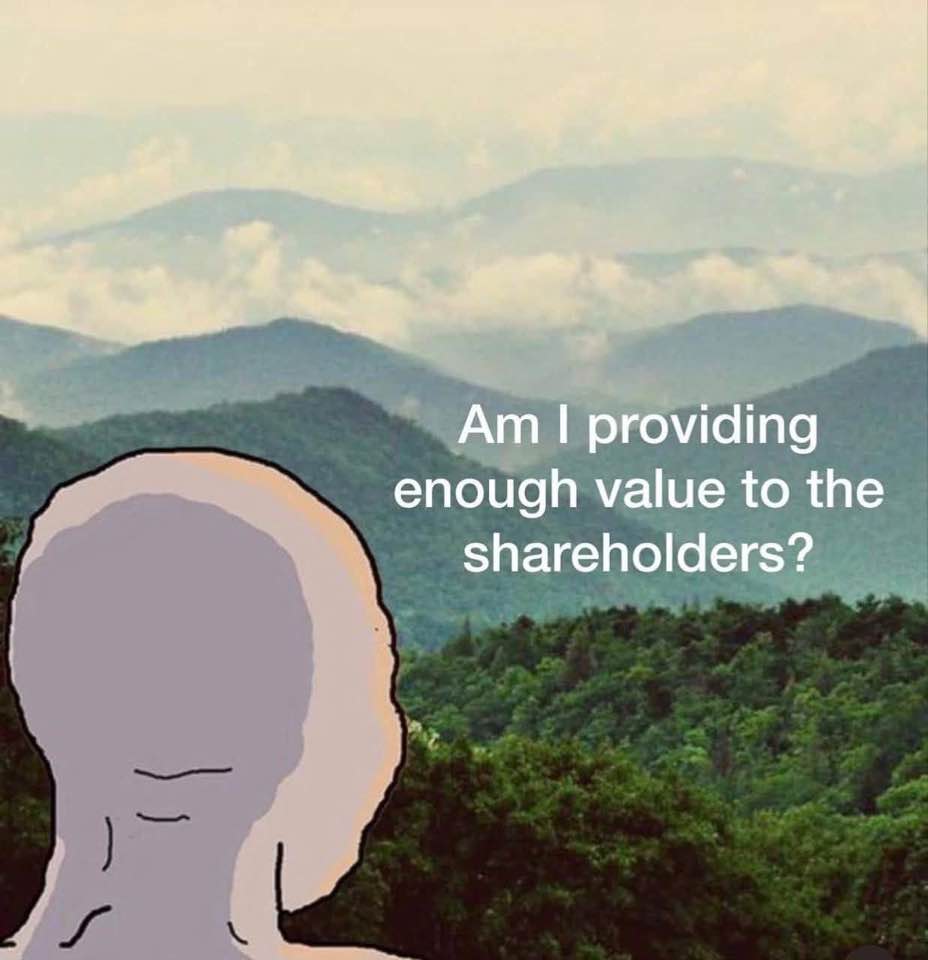 am-i-providing-enough-value-to-the-shareholders