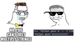 cant-just-multiply-strings