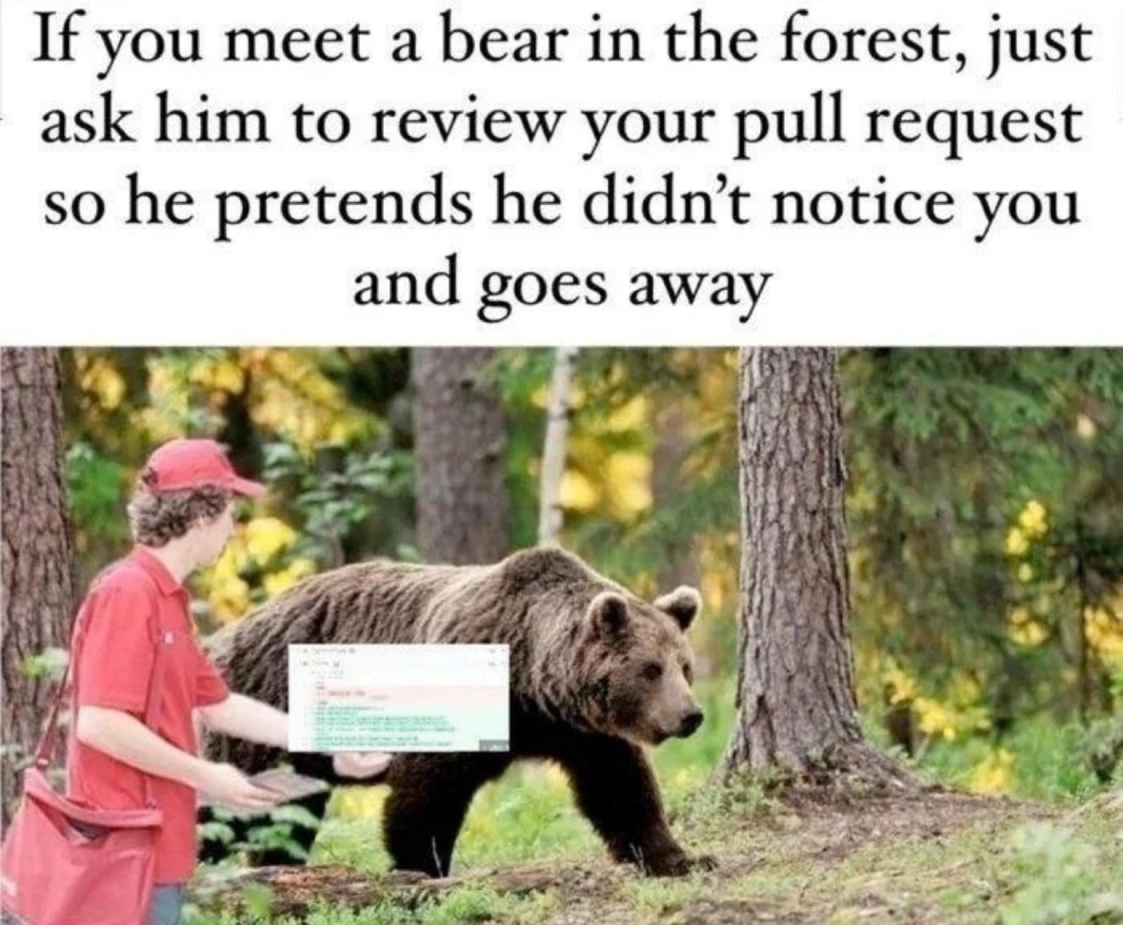 if-you-meet-a-bear-in-the-forest