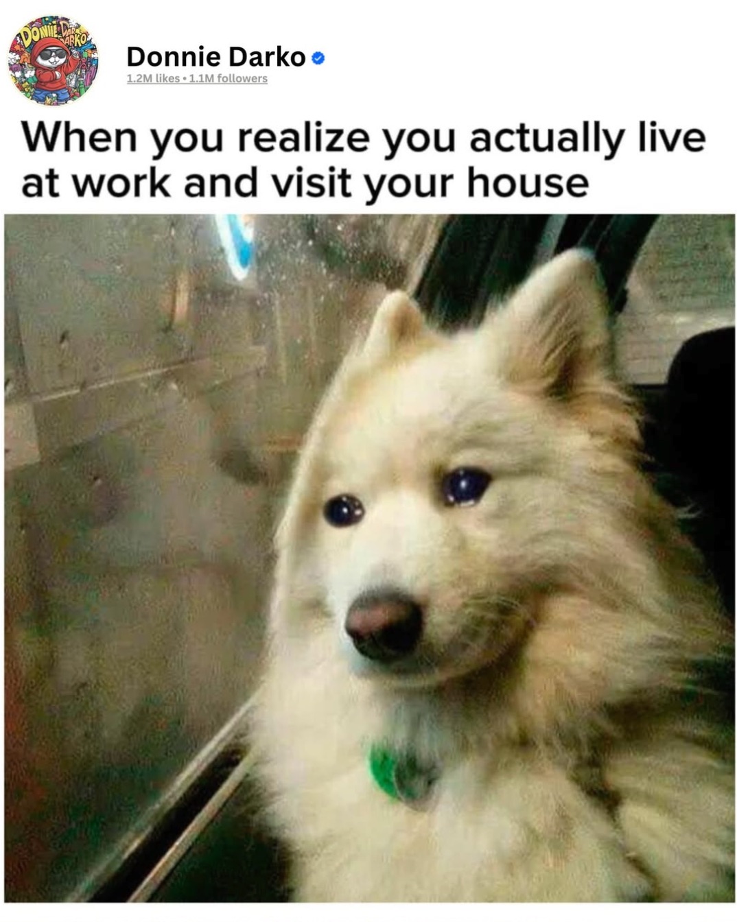 live_at_work_at_visit_your_own_house