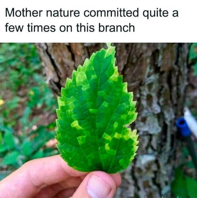 mother-nature-committed-quite-a-few-times