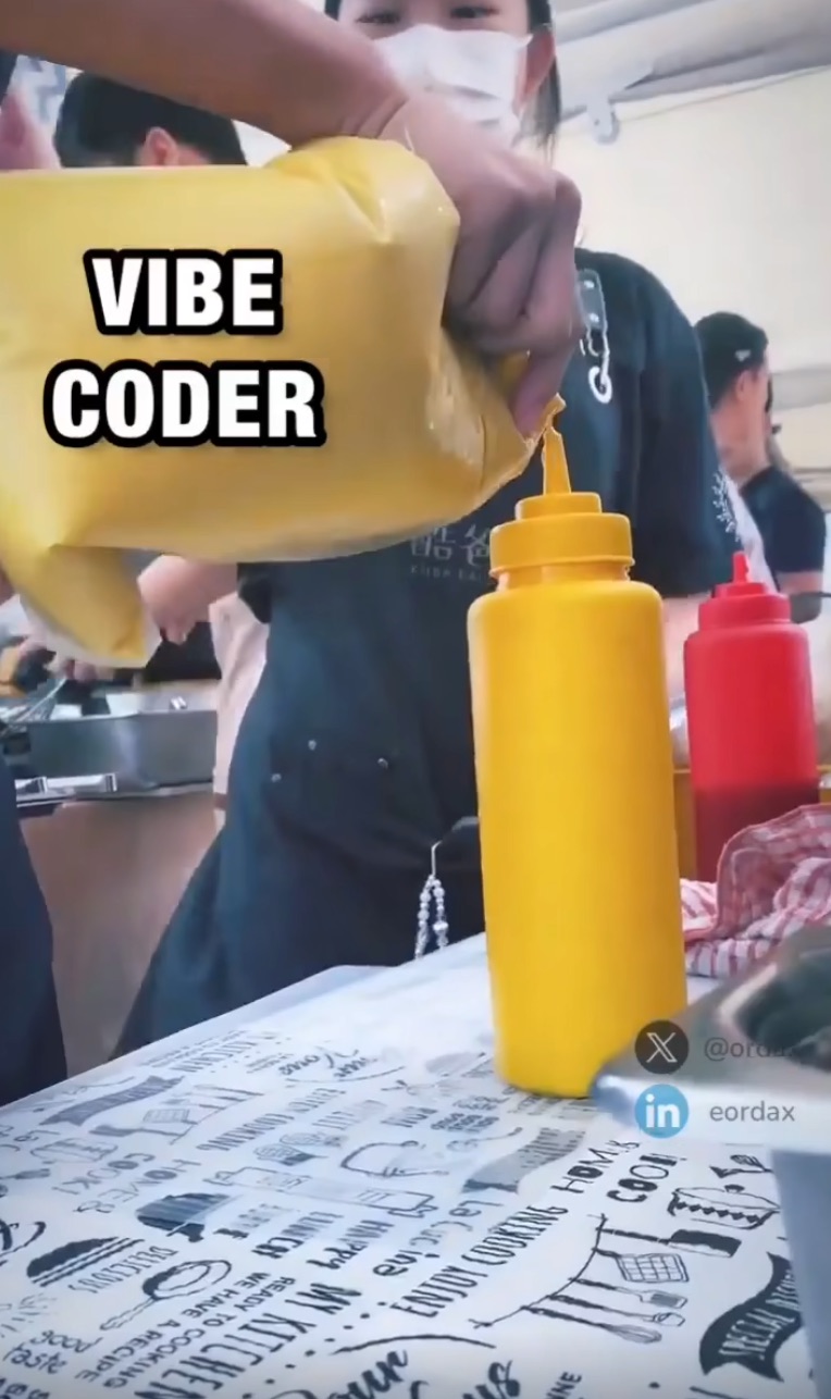 vibe_coder