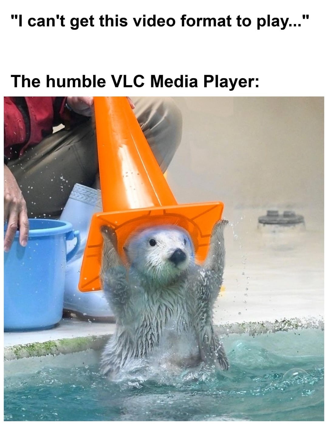 vlc
