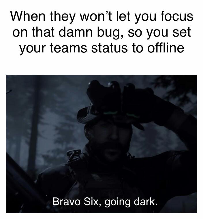 when-they-wont-let-you-focus-on-that-bug