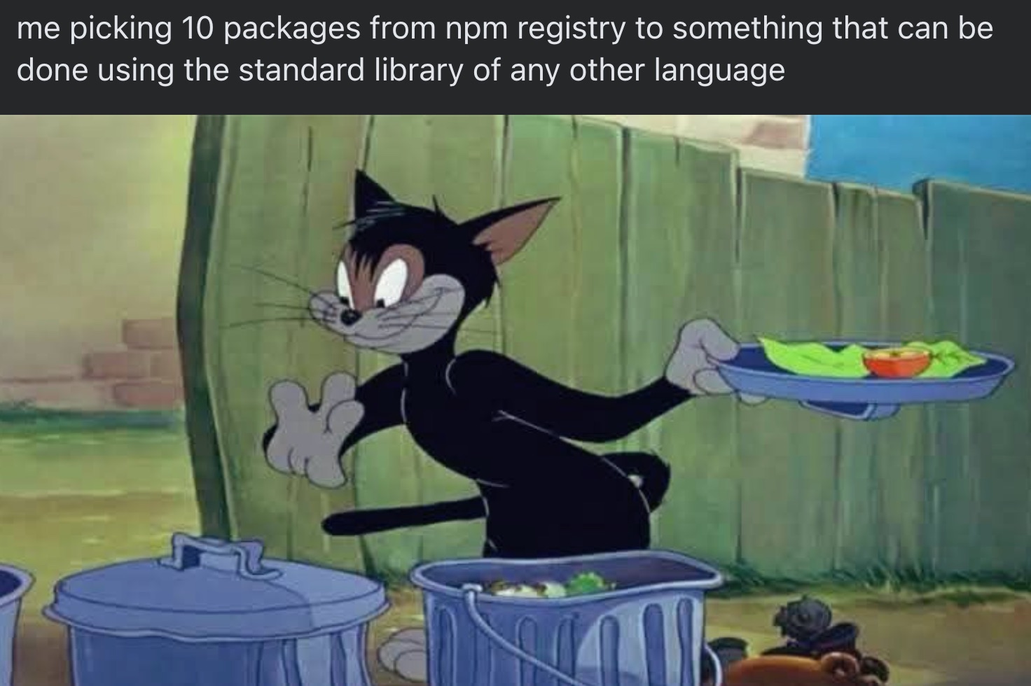 picking_10_packages_from_npm