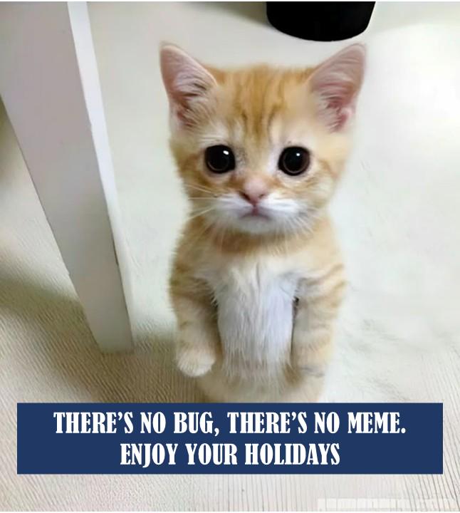 no-bug-no-meme-enjoy-holidays