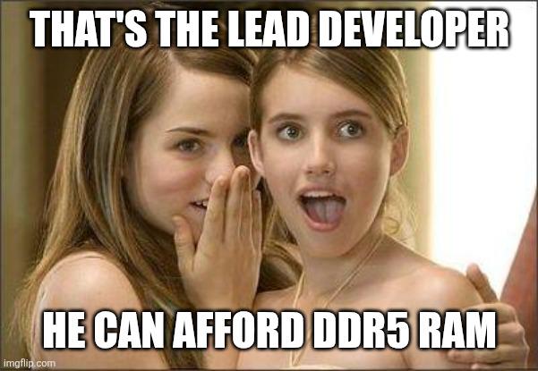 thats-the-lead-developer