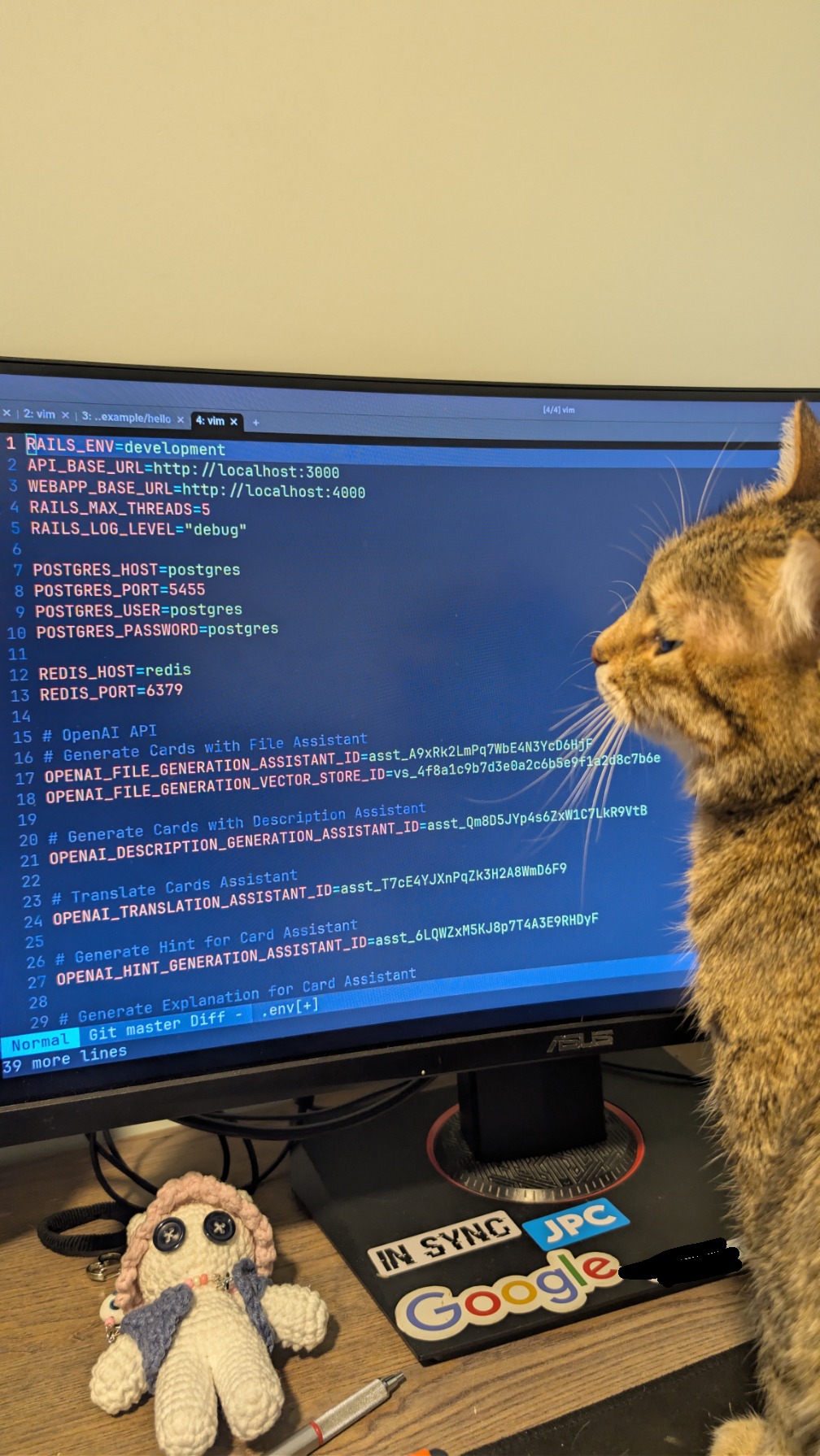cat-coding