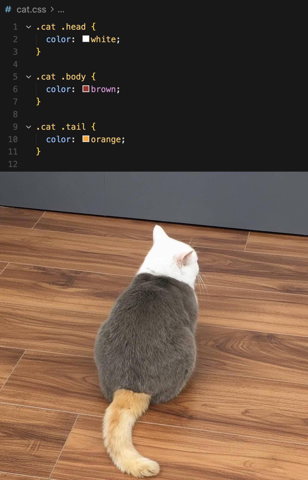 cat-css