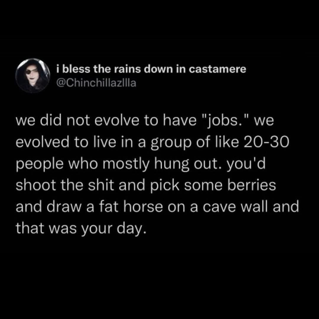 did-not-evolve-to-have-jobs