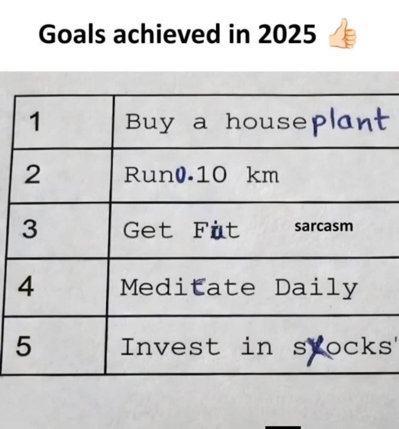 goals-achieved-in-2025