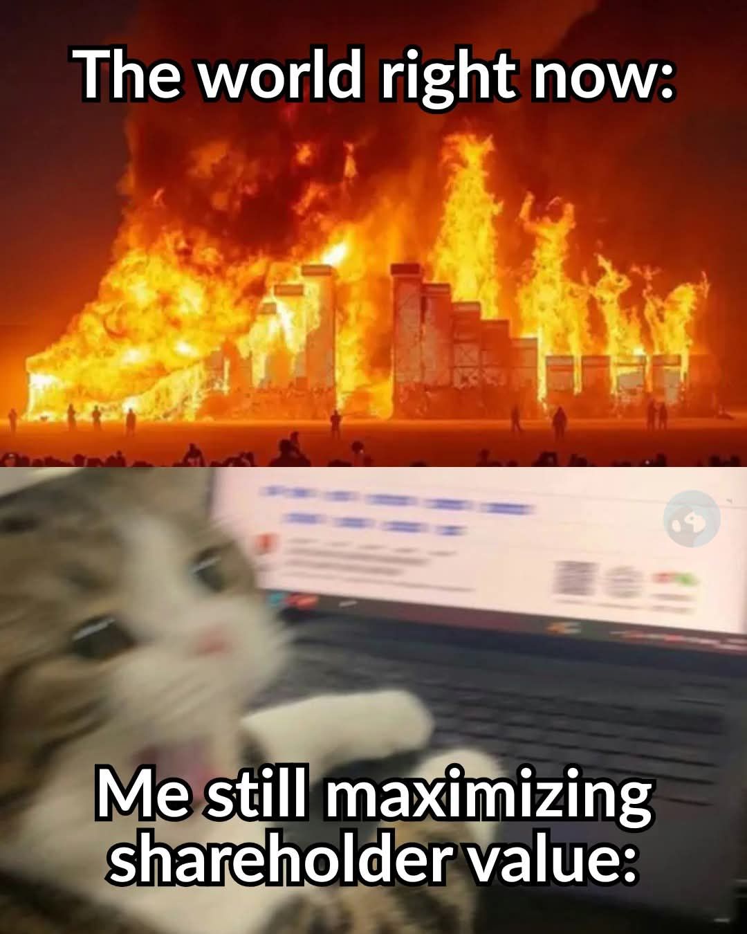 me-still-maximizing-shareholder-value