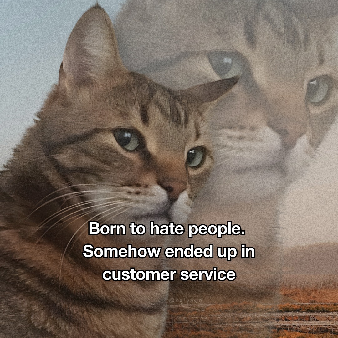 somehow-ended-up-in-customer-service