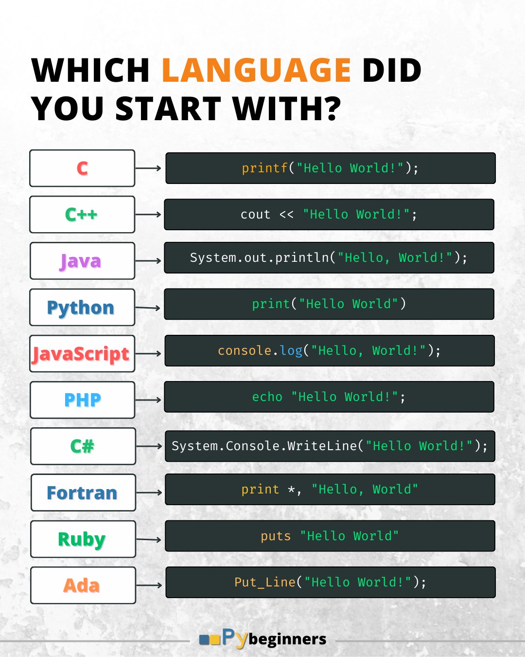 which-language-did-you-start-with