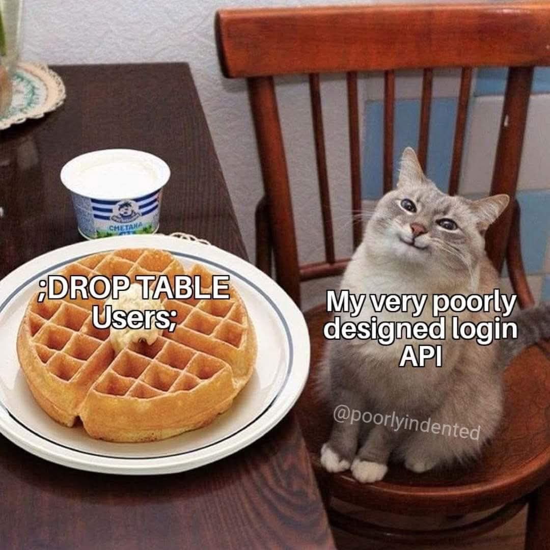 blins-cat-and-login-api