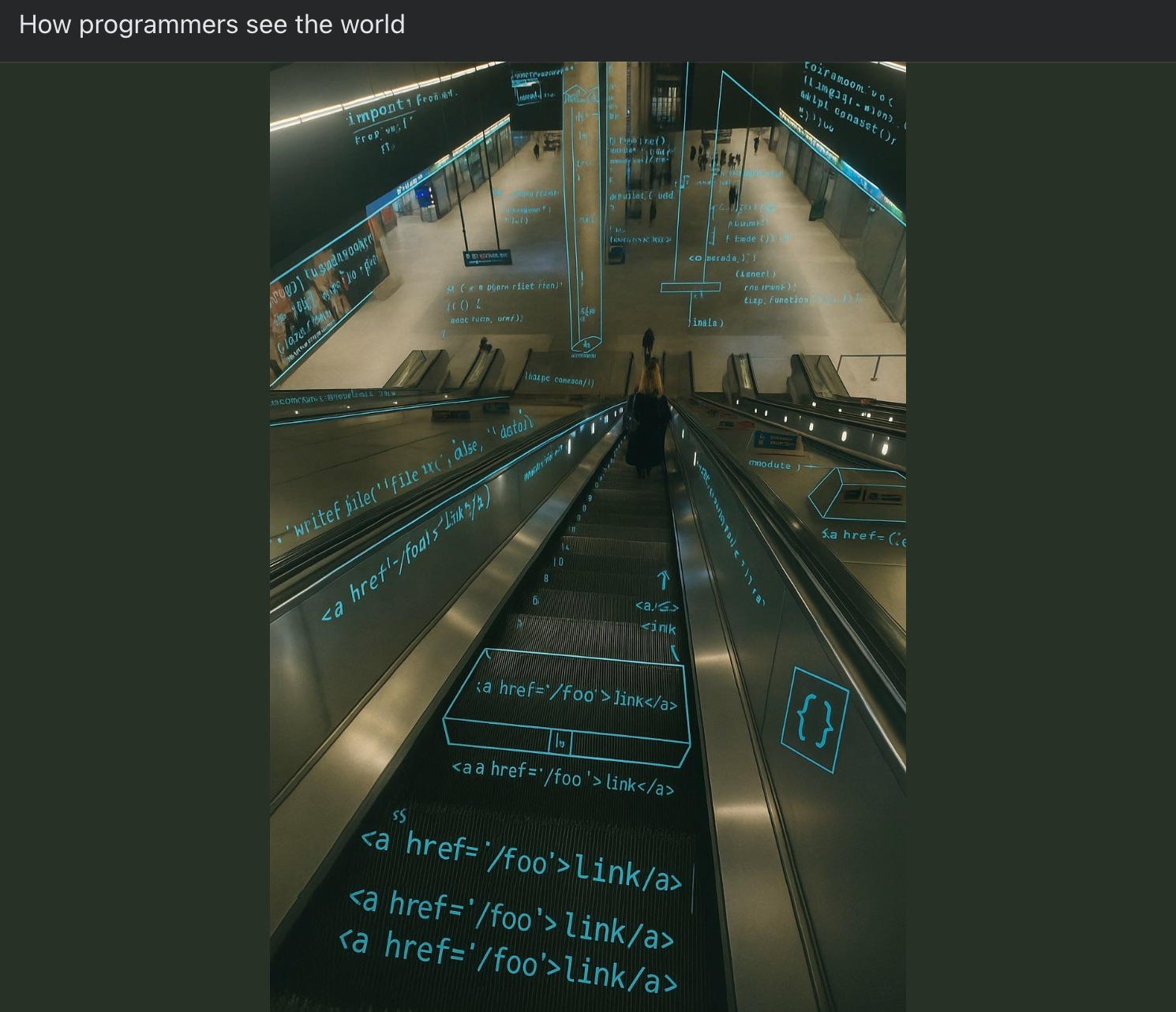 how_programmers_see_the_world