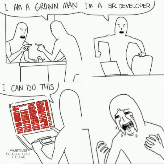 i-am-a-senior-developer