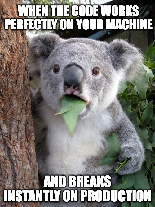 works-perfectly-on-your-machine