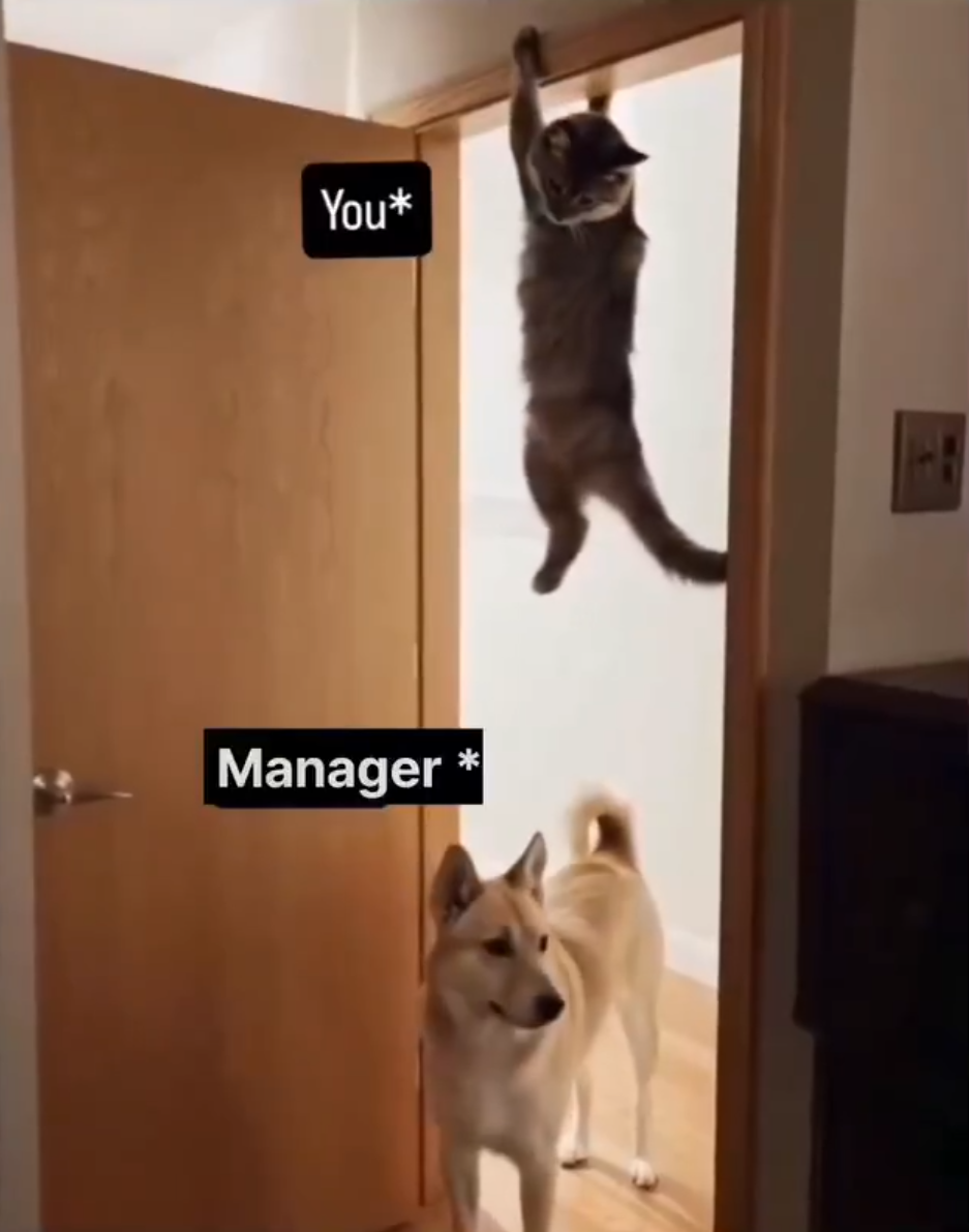 you-and-manager