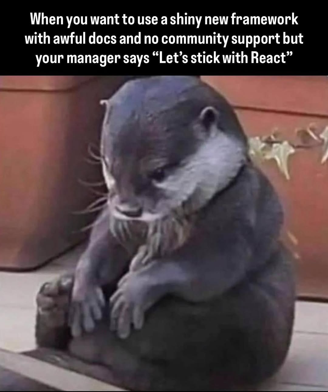 622254570_1312013340947008_46605098198368217_n