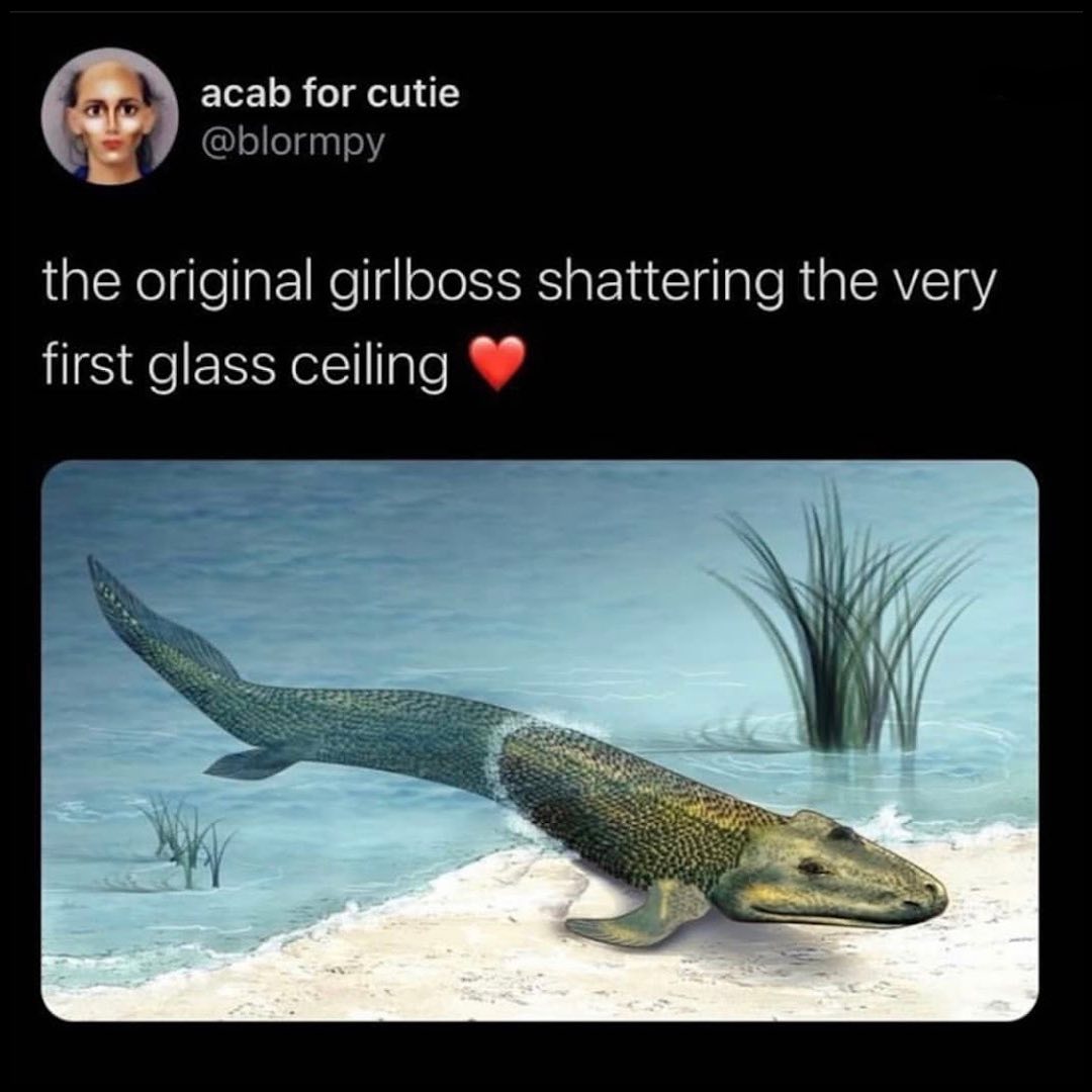 647213040_930582016219102_4955755167531203653_n