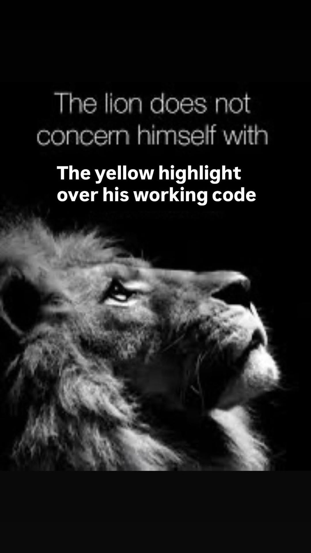 651363136_1350140457134296_6553703424557869044_n