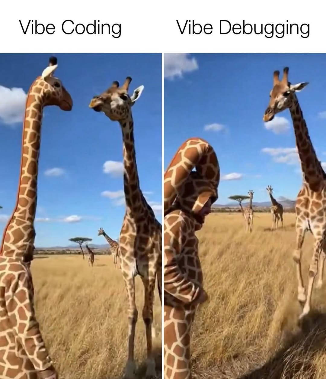 653494366_1355295756618766_2429790887234863392_n