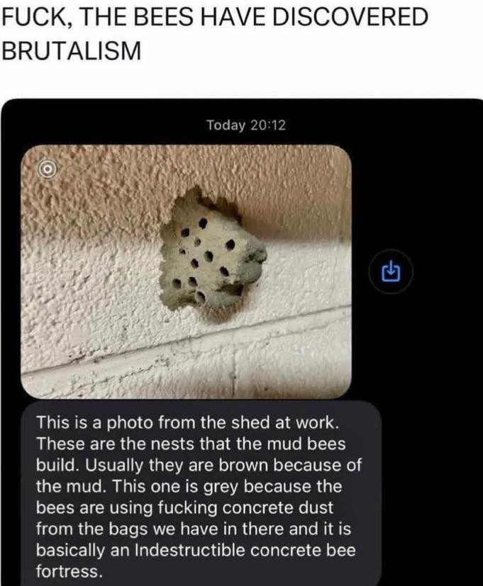 bees-brutalism