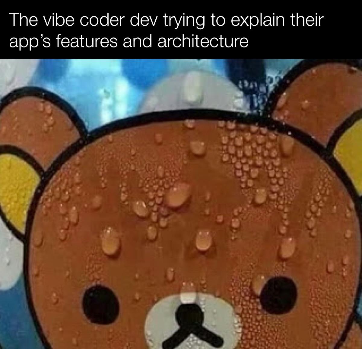 vibe-coder-explaining-code