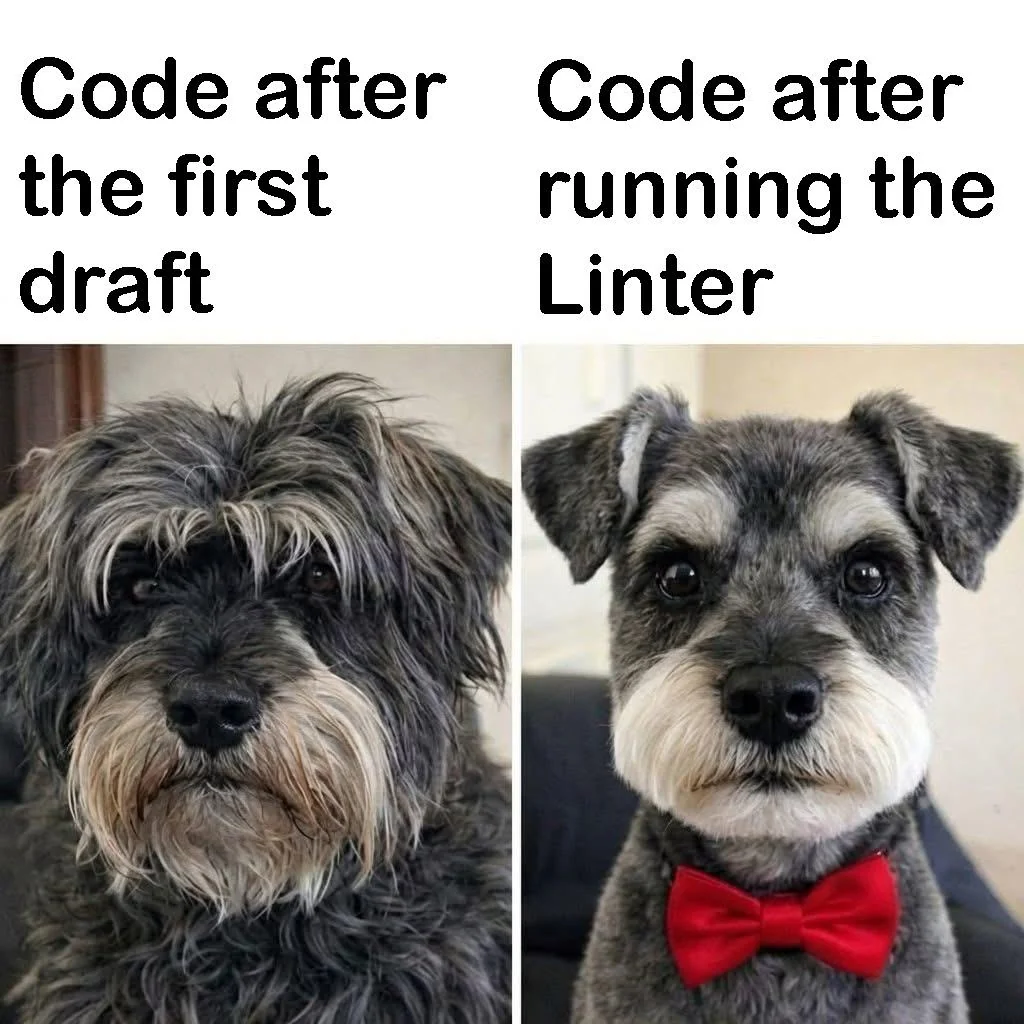 beautyisthestandard-v0-6dzngfcw86vg1