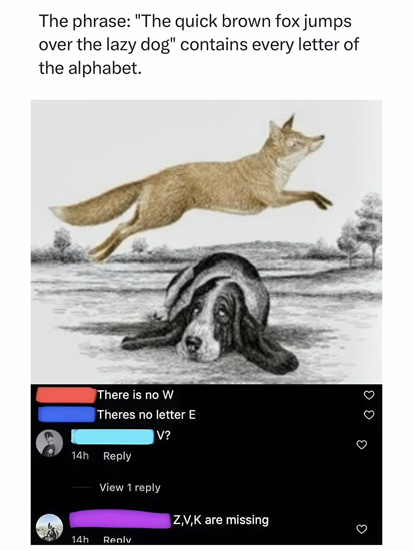 702569112_1310771904497677_7327069249698811291_n