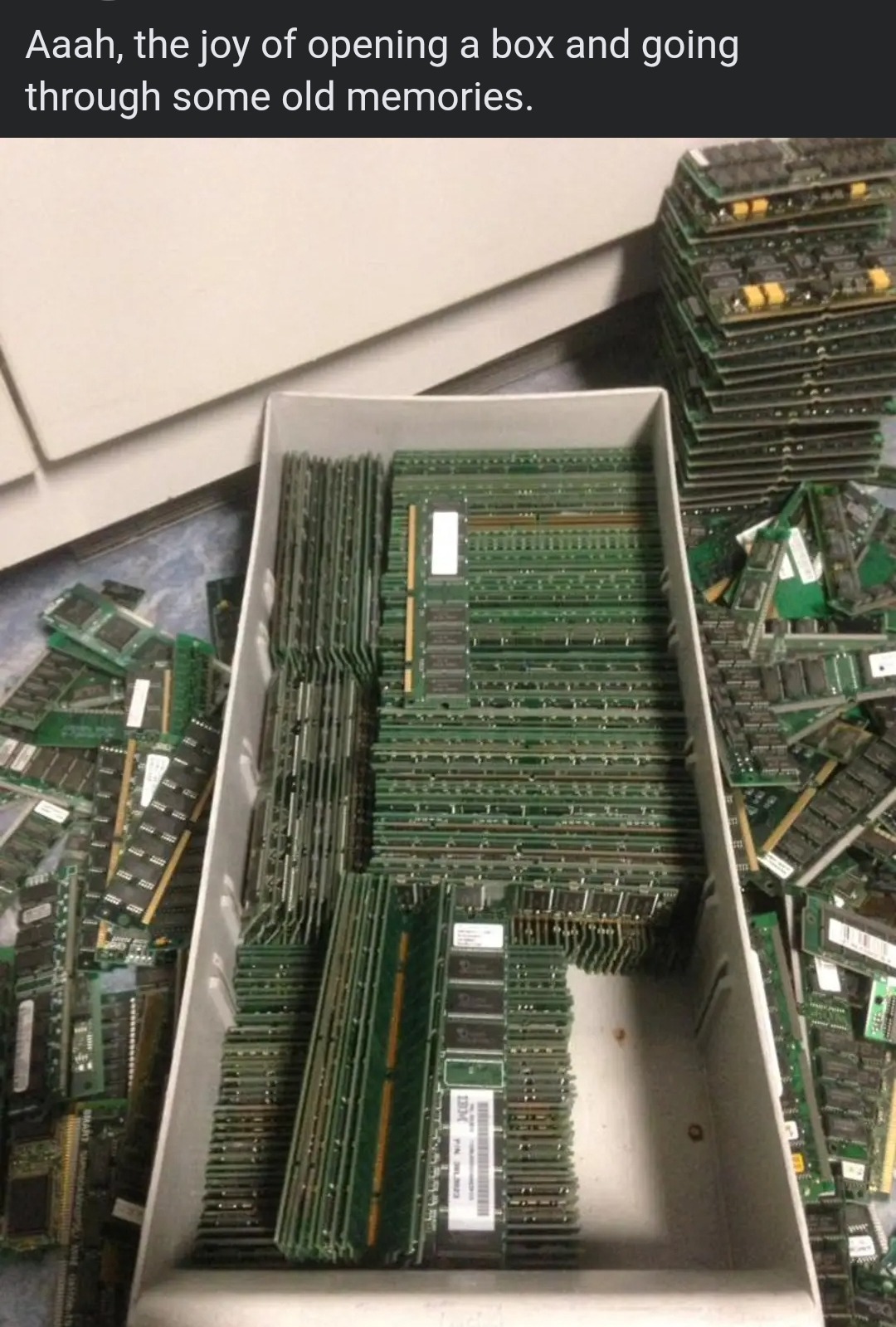 703462484_4431562710499709_3292613540473426985_n