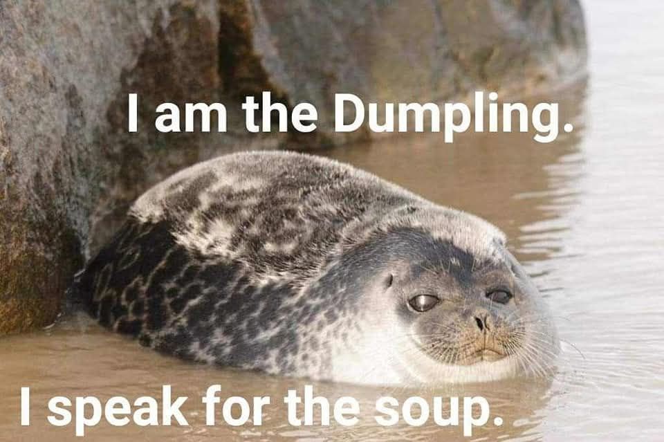 Seal basking in the water with the caption “I am the Dumpling. I speak for the soup.”