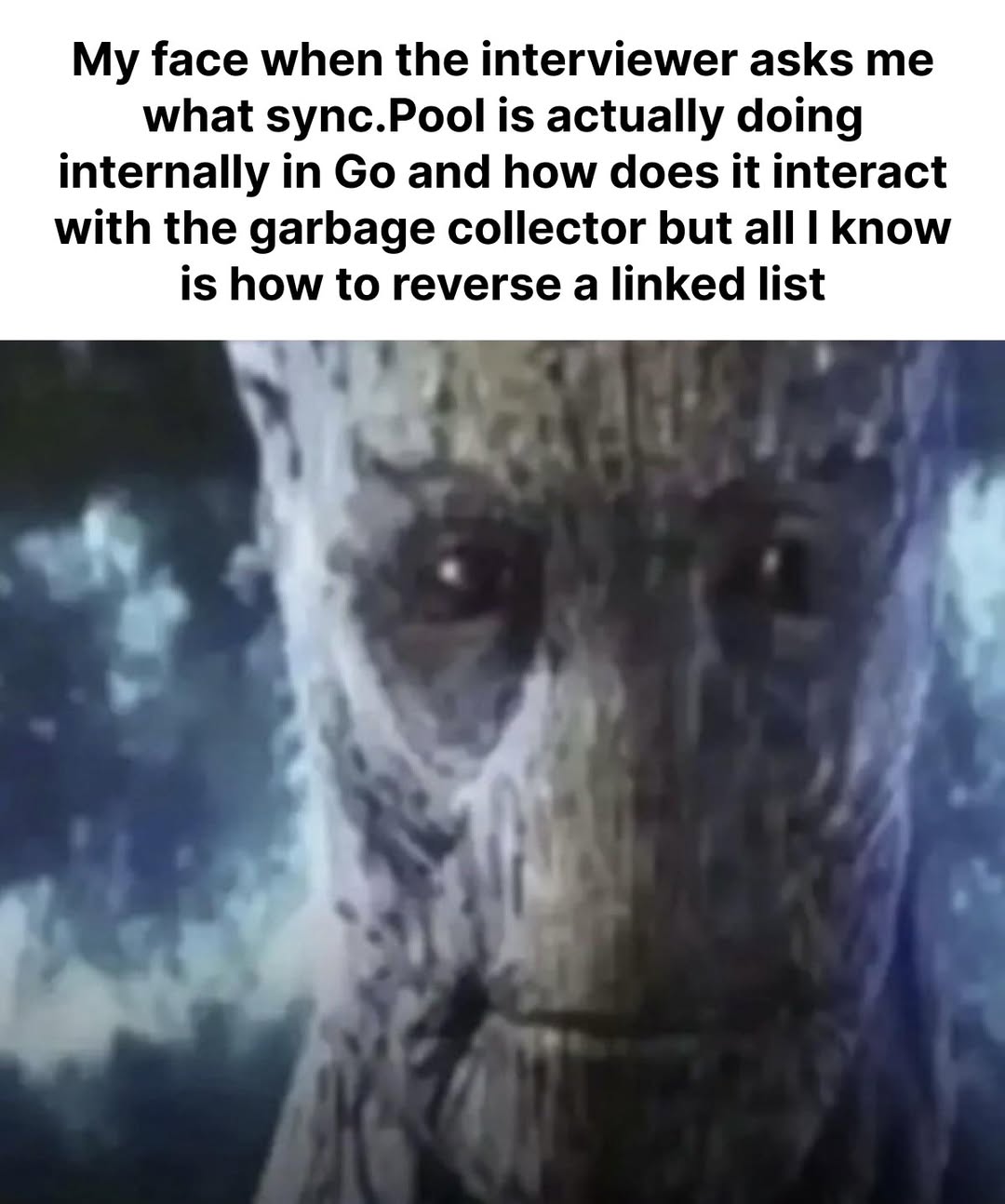 711618815_1420851433396531_1715338654453595602_n
