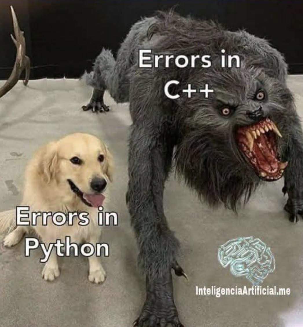 725361602_1338015528472834_5103911513044082403_n