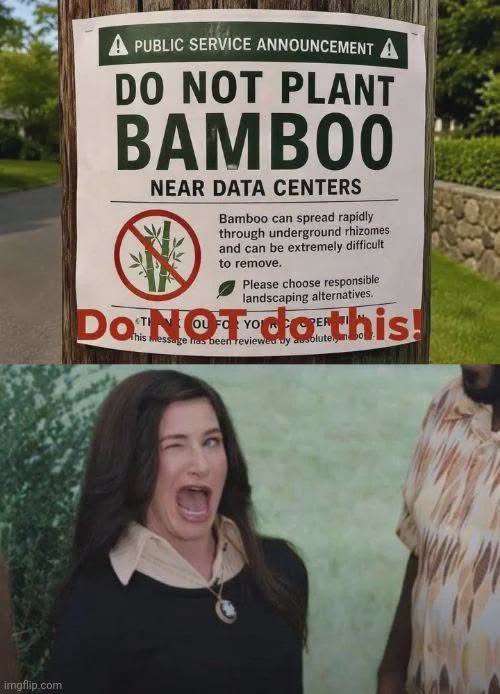 727774466_1310841907448790_6011056383755886807_n