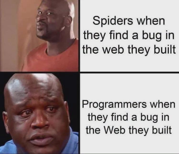 731163858_1338373117925692_5488079956057141064_n