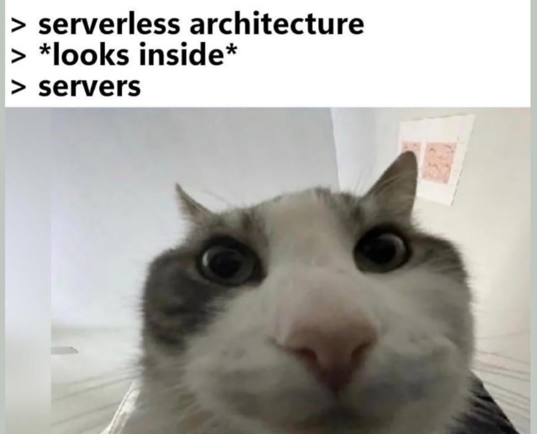 wozlodotuw2h1