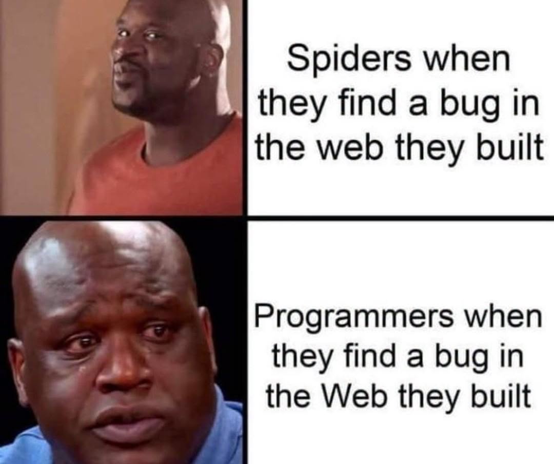 736163491_1312690397704785_772858913112811697_n